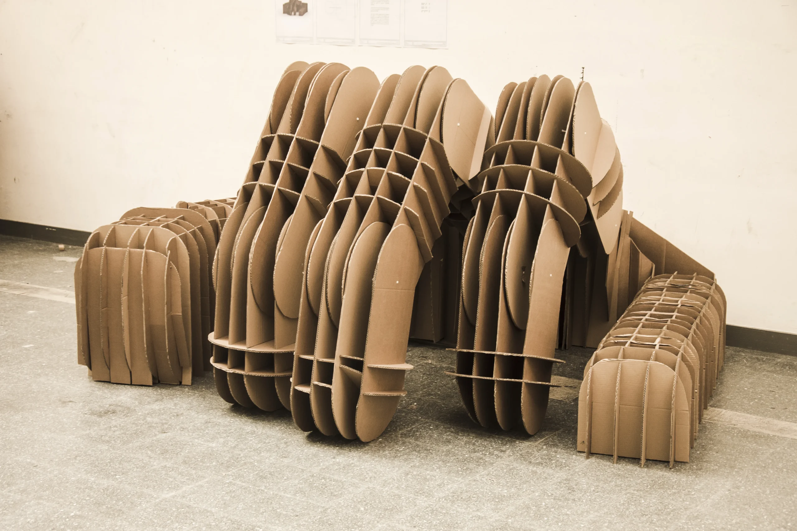 Cardboard shelter studio