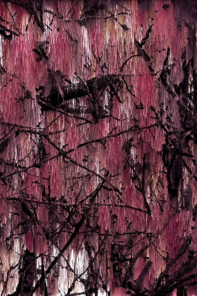 Pixel Sorting 2022